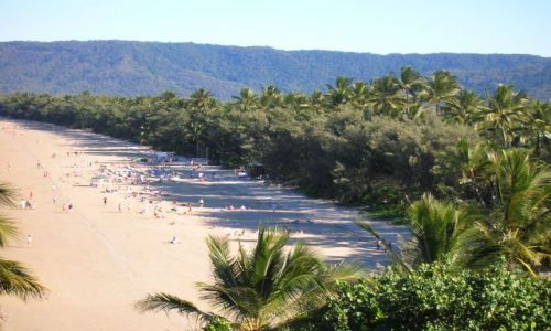 Zdjcie AUSTRALIA / Qld / Port Douglas / Plaza w tropiku