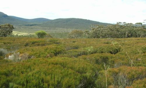 Zdjcie AUSTRALIA / NSW / Okolice Captain Flat / W drodze do Big Hole