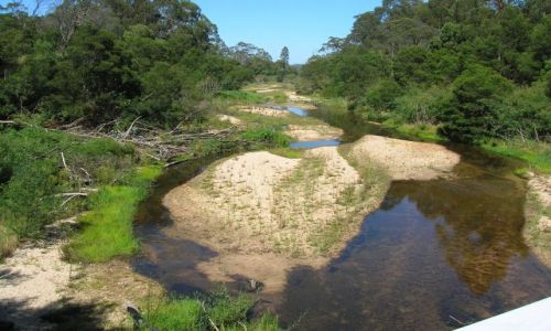 Zdjęcie AUSTRALIA / NSW / Cann River / Po drodze nad ocean