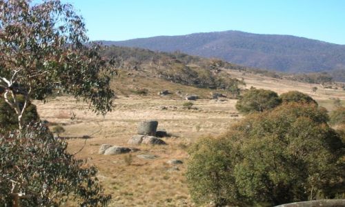 Zdjcie AUSTRALIA / ACT / w gorach / Namadgi National park