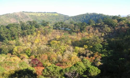 Zdjęcie AUSTRALIA / S.A. / MT. Gambier / Jesien w gorach