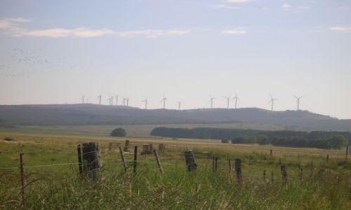 Zdjecie AUSTRALIA / NSW / Bungendore-Tarago / Wiatraki i ptaki