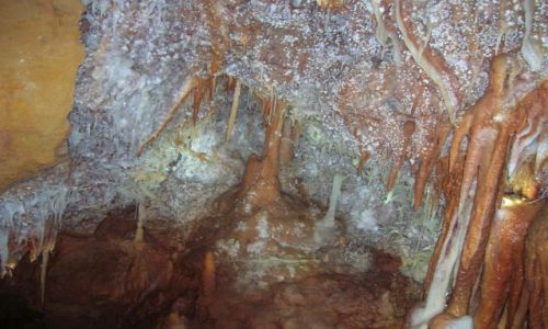 Zdjcie AUSTRALIA / NSW / Jenolan Caves / Orient Cave