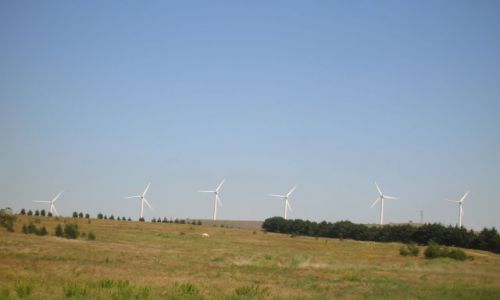 Zdjęcie AUSTRALIA / NSW / Bangendore / Zwiekszamy energie