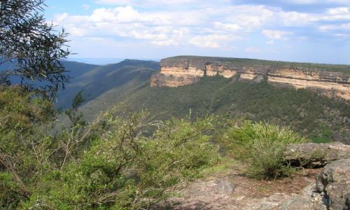 Zdjcie AUSTRALIA / NSW / Blue Mountains / Kanangra Wall