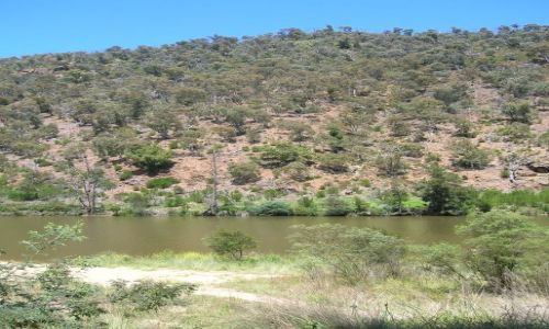 Zdjcie AUSTRALIA / ACT / Kambah pool / Murrumbigi River