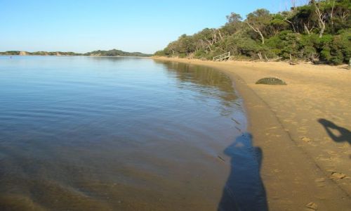 Zdjecie AUSTRALIA / Vic. / Marlo / Snowy River