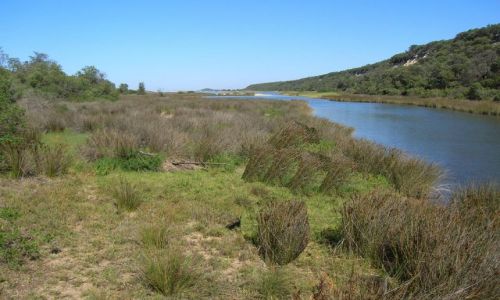 Zdjcie AUSTRALIA / Victoria / marlo / Snowy River