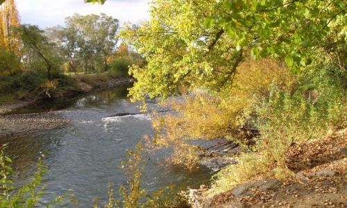 Zdjecie AUSTRALIA / NSW / Tumut / Barwy jesieni