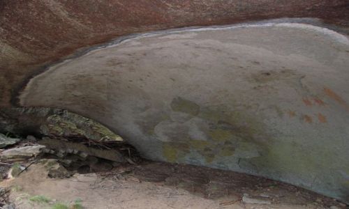 Zdjecie AUSTRALIA / ACT / Namadgi nat. Park / Aborygenskie rysuneczki na skalach-pare zolwi