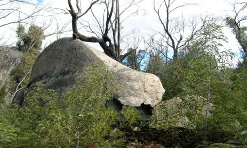 Zdjęcie AUSTRALIA / ACT / Tidbinbilla mountains / Mam juz oparcie..