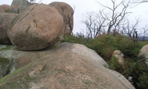 Zdjecie AUSTRALIA / ACT / Tidbinbilla mountains / Boulders..