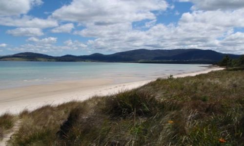 Zdjęcie AUSTRALIA / Tasmania / wschodnie wybrzeże / Tasmania 1
