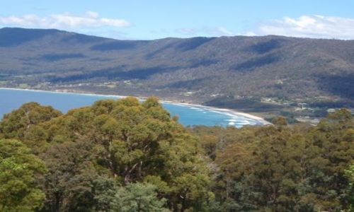 Zdjęcie AUSTRALIA / Tasmania  / wschodnie wybrzeże / Tasmania 2