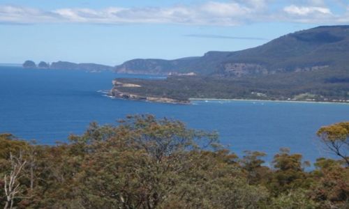 Zdjęcie AUSTRALIA / Tasmania  / wschodnie wybrzeże / Tasmania 3