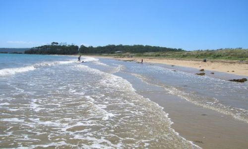 Zdjecie AUSTRALIA / NSW / Molonglo Bay / pacyfic Ocean, plaza i fale