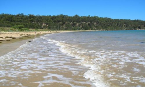 Zdjęcie AUSTRALIA / NSW / Batemans Bay / Pacyfik, fale