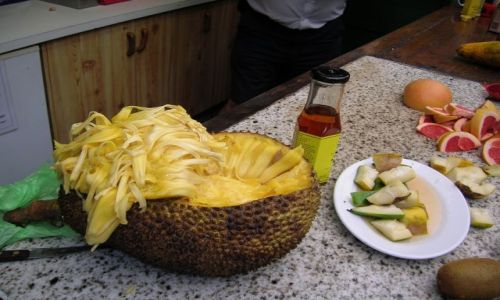 Zdjęcie AUSTRALIA / QLD, polnoc / Gold Coast / Jack fruit