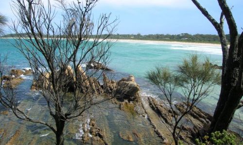 Zdjecie AUSTRALIA / NSW / Nad oceanem.. / I jeszcze lato..
