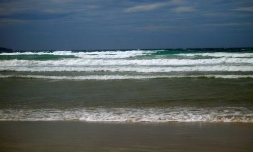 Zdjecie AUSTRALIA / South Coast / Pambula / Pacyfic