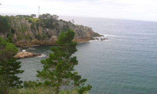 Zdjecie AUSTRALIA / NSW / South Coast / Klif nad oceanem..