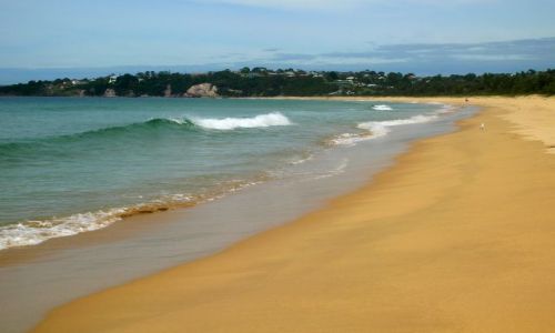 Zdjcie AUSTRALIA / NSW / South Coast / Na plazy