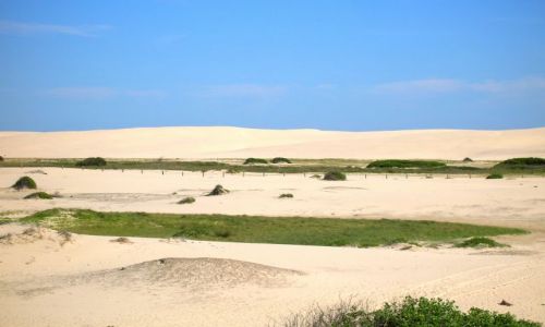Zdjęcie AUSTRALIA / NSW / Anna Bay / Pustynia nad oceanem