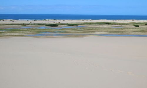 Zdjecie AUSTRALIA / NSW / Anna Bay / Stockton dunes