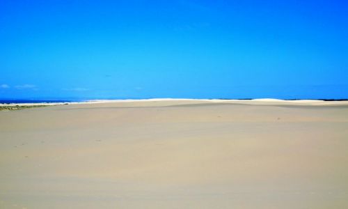Zdjęcie AUSTRALIA / NSW / Stockton Dunes / Na szczycie..piachu