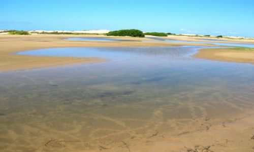 Zdjęcie AUSTRALIA / NSW / Stockton Dunes / Male oazy wilgoci na malej pustyni..
