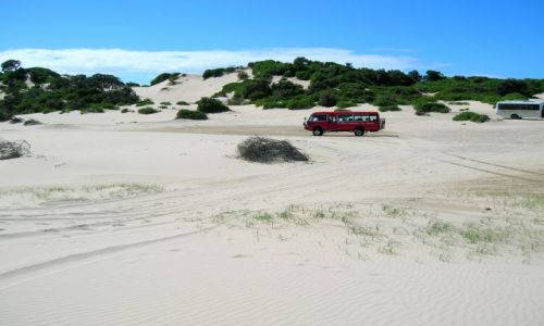Zdjecie AUSTRALIA / NSW / Stockton Dunes / Wycieczka na wydmy