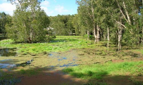 Zdjęcie AUSTRALIA / NSW / Okolice Newcastle / Jeziorko w Murrook centre-aborygenskie centrum