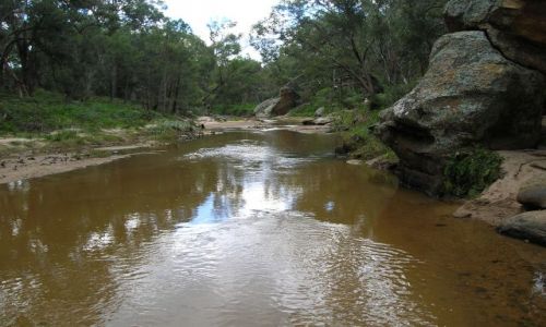 Zdjęcie AUSTRALIA / NSW / Golbourne Nat. Park. / Golbourne River