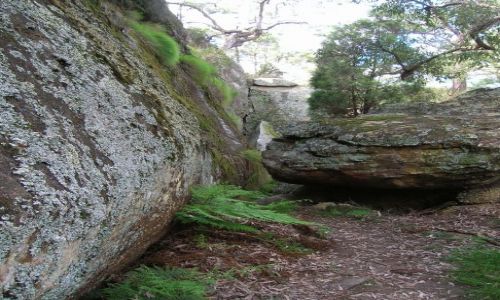 Zdjęcie AUSTRALIA / NSW / Golbourne Nat. Park. / The Drip..