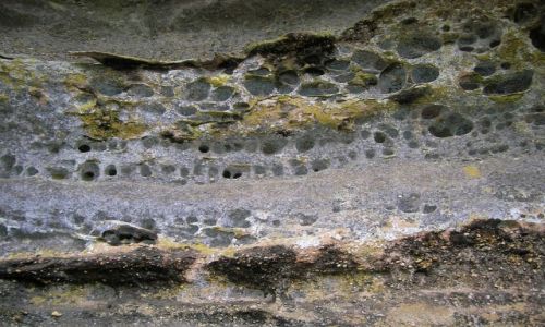 Zdjecie AUSTRALIA / NSW / Golbourn Nat. Park / Skala -Honey Comb