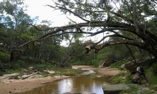 Zdjecie AUSTRALIA / NSW / Goulburn Nat. Park / Goulburn National Park