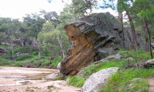 Zdjęcie AUSTRALIA / NSW / Interia, okolice Ulan / Goulburne National park