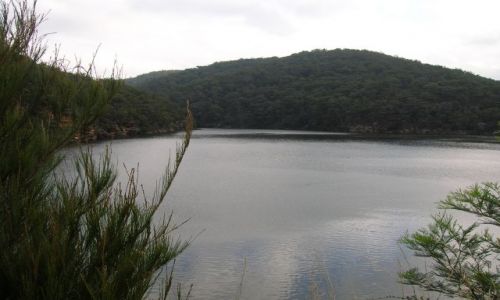 Zdjęcie AUSTRALIA / NSW / Bargo / Nad tama -Nepean River