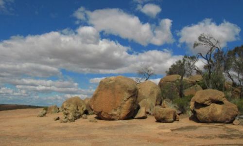 Zdjcie AUSTRALIA / Hyden / Hyden / Wave Rock