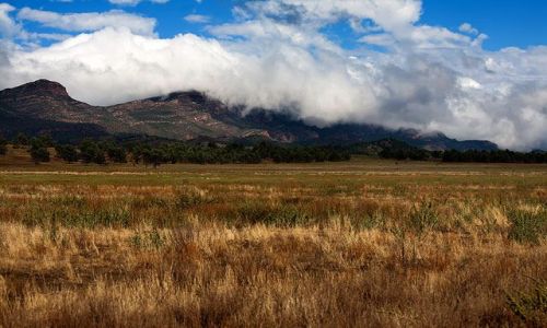 Zdjęcie AUSTRALIA / Flinders Ranges / Wilpena / Eczesnym rankiem