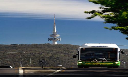 Zdjęcie AUSTRALIA / Canberra / Black Mountain / Telstra Tower