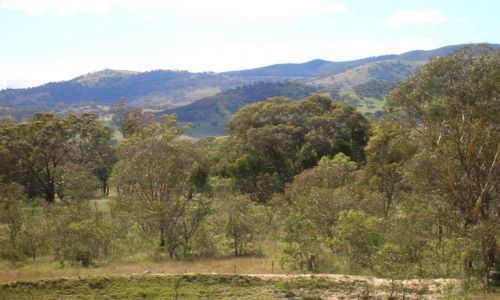 Zdjcie AUSTRALIA / Wsch. Australia / Namadgi Nat. Park / Australian Alps