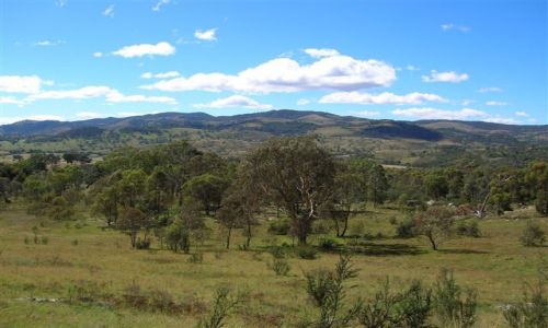Zdjcie AUSTRALIA / Wsch. Australia / Namadgi Nat. Park / Alpy australijskie
