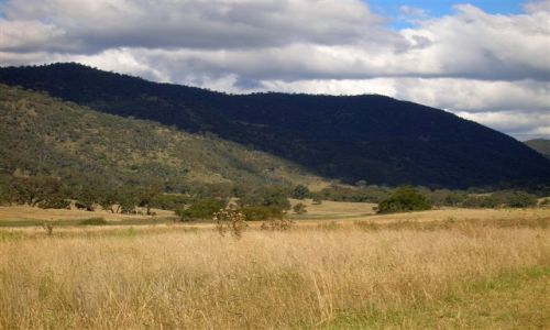Zdjcie AUSTRALIA / Wsch. Australia / Australian Alps / Dolina Nass
