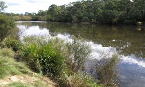 Zdjcie AUSTRALIA / Wsch. Australia / okolice Nerriga / Shoalhaven River