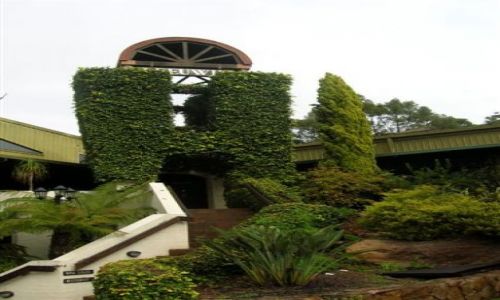 Zdjęcie AUSTRALIA / WA / Margaret River / Leuwin estate-ciekawa restauracja