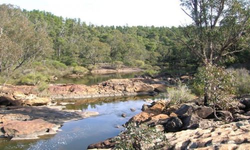 Zdjęcie AUSTRALIA / Zach,Australia / Dewllingup / Murray River