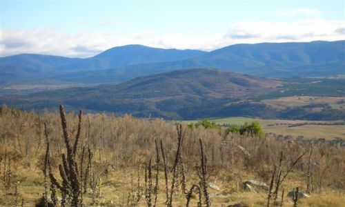 Zdjcie AUSTRALIA / ACT / MT Stromlo / Widok na Bullen Ranges