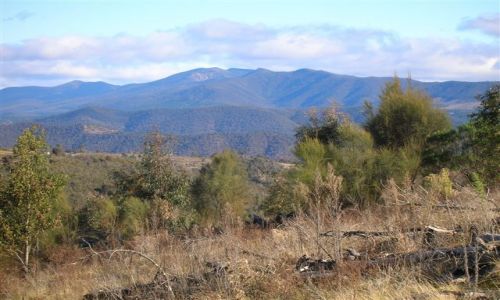 Zdjecie AUSTRALIA / ACT / MT Stromlo / Widok na gory-Blue Ranges