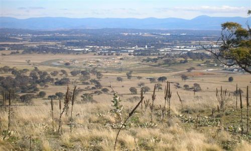 Zdjcie AUSTRALIA / ACT / Rezerwat przyrody / Widok na Canberre